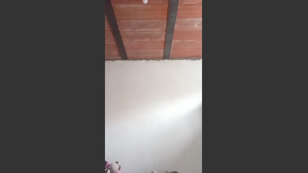 stvxxx777 toy Webcam SHOW @ Cam4 11-03-2026