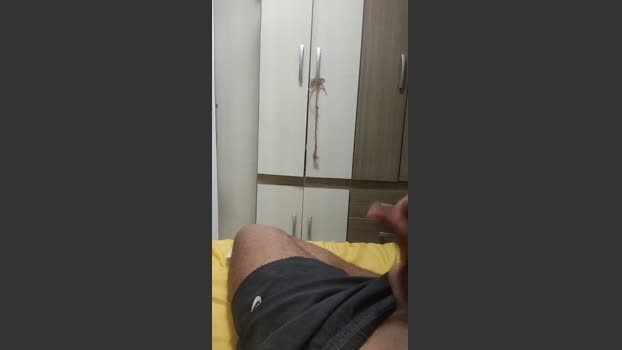 wilton37 big Webcam SHOW @ Cam4 11-03-2026