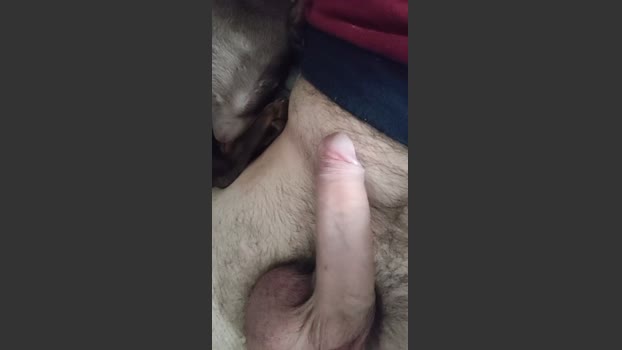 jeurs1 oral Webcam SHOW @ Cam4 12-03-2026