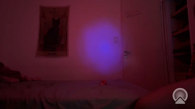 Johnny_Aries Naked Webcam SHOW @ Cam4 13-03-2026