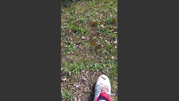 Sperma9222 jackoff Webcam SHOW @ Cam4 13-03-2026
