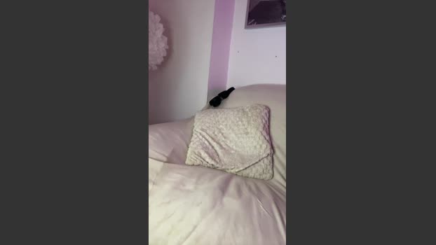 pablo2762 fuckface Webcam SHOW @ Cam4 12-03-2026