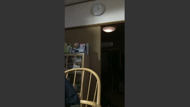 yoyo804 Ass Webcam SHOW @ Cam4 14-03-2026