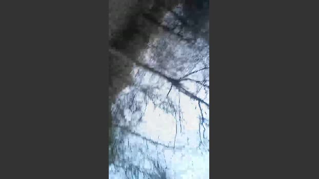 Mirk74 bigass Webcam SHOW @ Cam4 15-03-2026