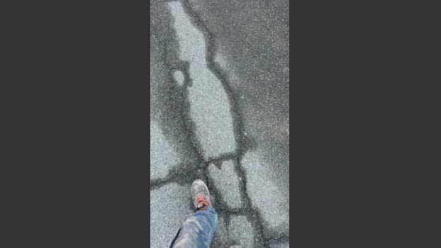 Porcellinotuo89