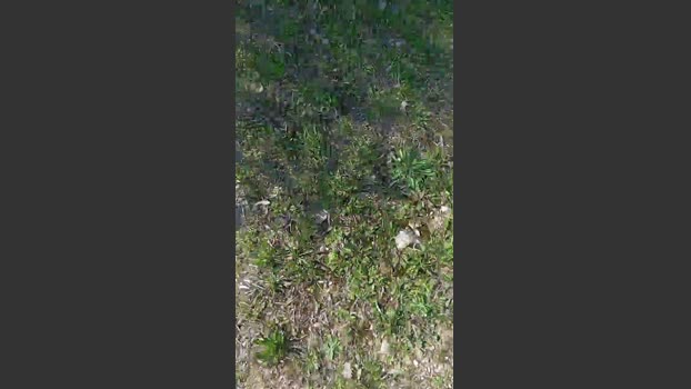 Sperma9222 suckshow Webcam SHOW @ Cam4 16-03-2026