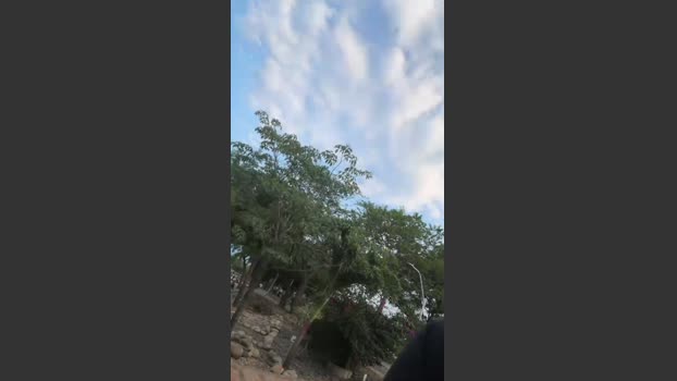 Outdoorsd blowjob Webcam SHOW @ Cam4 16-03-2026
