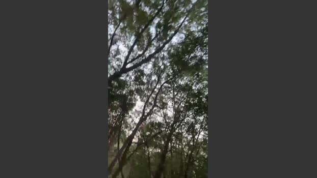 Outdoorsd beauty Webcam SHOW @ Cam4 16-03-2026