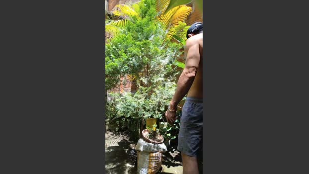 Sexylatinogay striptease Webcam SHOW @ Cam4 16-03-2026
