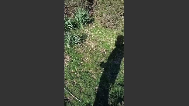 gutig_14 bicurious Webcam SHOW @ Cam4 17-03-2026