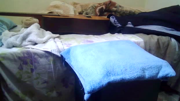 raul4396624 Naked Webcam SHOW @ Cam4 18-03-2026