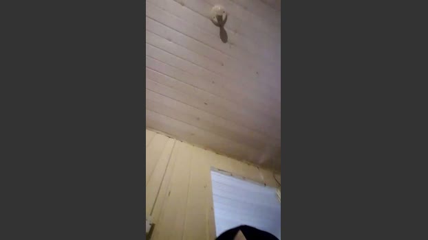 Davi9280 horny Webcam SHOW @ Cam4 19-03-2026