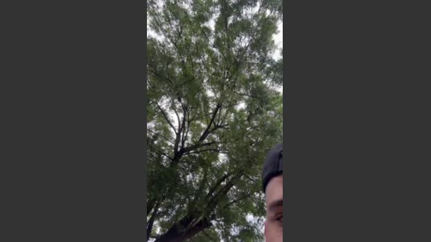 Outdoorsd big Webcam SHOW @ Cam4 19-03-2026