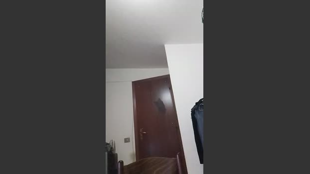 casertaxxx Porn Webcam SHOW @ Cam4 20-03-2026