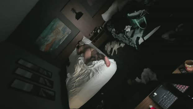 Beardedveteran sweet Webcam SHOW @ Cam4 20-03-2026