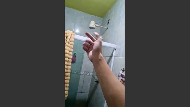 Novin_021h