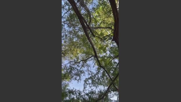 Outdoorsd jerkoff Webcam SHOW @ Cam4 21-03-2026