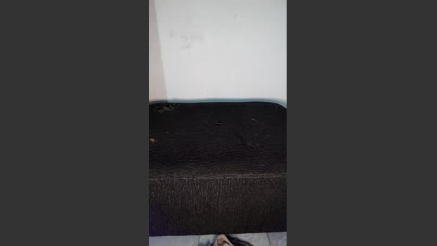 PretoXXXBlack fuck Webcam SHOW @ Cam4 22-03-2026