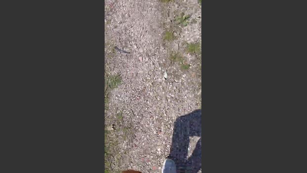 Sperma9222 squirt Webcam SHOW @ Cam4 23-03-2026