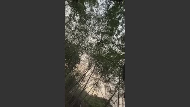 Outdoorsd fuckface Webcam SHOW @ Cam4 25-03-2026