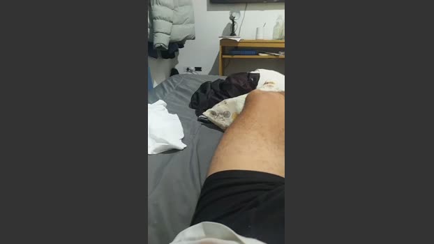 Sinfulboyy spank Webcam SHOW @ Cam4 28-03-2026