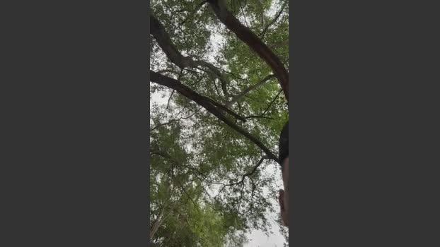 Outdoorsd spanking Webcam SHOW @ Cam4 28-03-2026