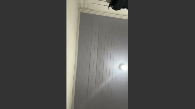 Puto_leitador Porn Webcam SHOW @ Cam4 29-03-2026