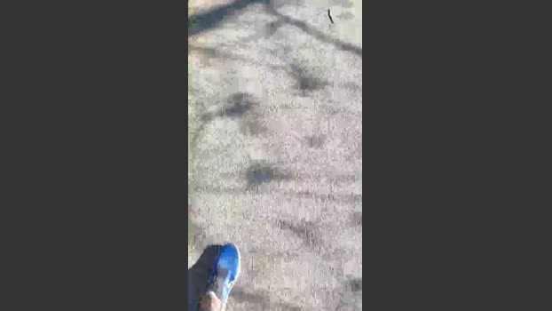 big_blackc jerking Webcam SHOW @ Cam4 29-03-2026