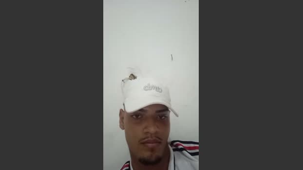 novdotado22 suckcock Webcam SHOW @ Cam4 28-03-2026