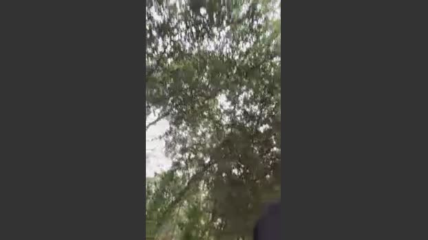 Outdoorsd jerkoff Webcam SHOW @ Cam4 29-03-2026