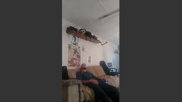 Destrollermx Pretty Webcam SHOW @ Cam4 30-03-2026