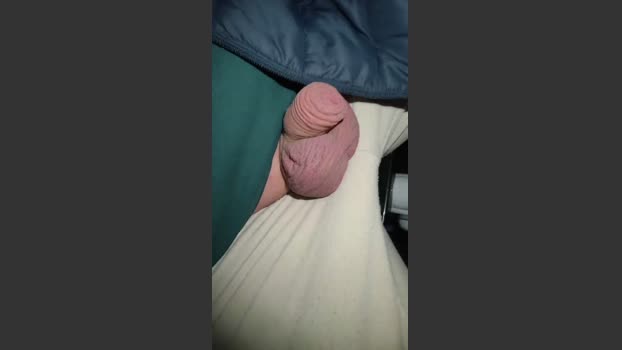 RealPublicManPl lush Webcam SHOW @ Cam4 31-03-2026