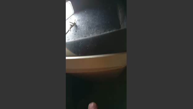 Abingosto Ass Webcam SHOW @ Cam4 02-04-2026