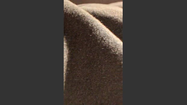 sion2343 Download Webcam SHOW @ Cam4 02-04-2026