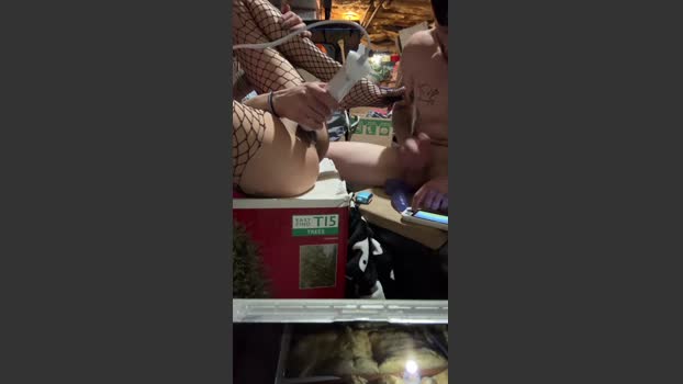 Bsellydudeman Porn Webcam SHOW @ Cam4 03-04-2026