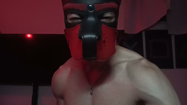 Frabroker hardcock Webcam SHOW @ Cam4 02-04-2026