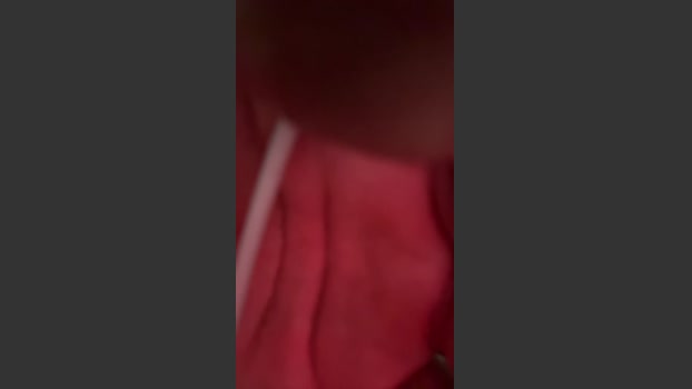 Davialves1 Download Webcam SHOW @ Cam4 05-04-2026