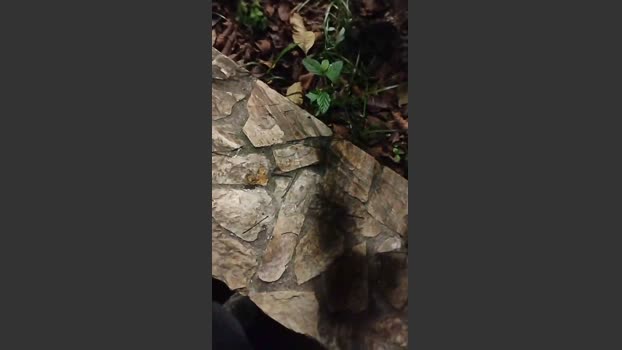Sexylatinogay squirt Webcam SHOW @ Cam4 06-04-2026