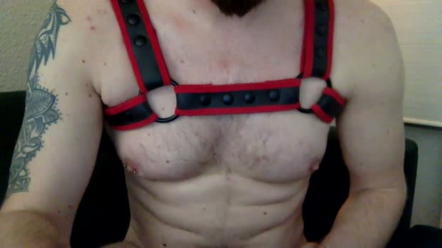 redbearded big Webcam SHOW @ Cam4 06-04-2026