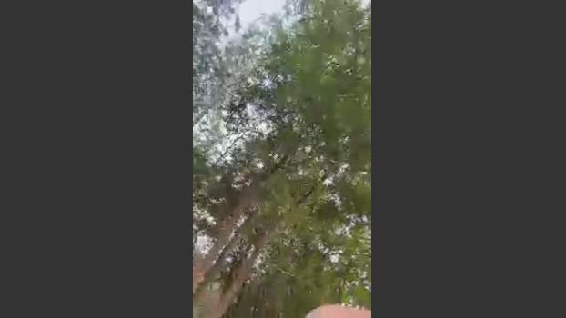 Outdoorsd hard Webcam SHOW @ Cam4 06-04-2026