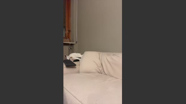 onlyman2 fuckface Webcam SHOW @ Cam4 09-04-2026
