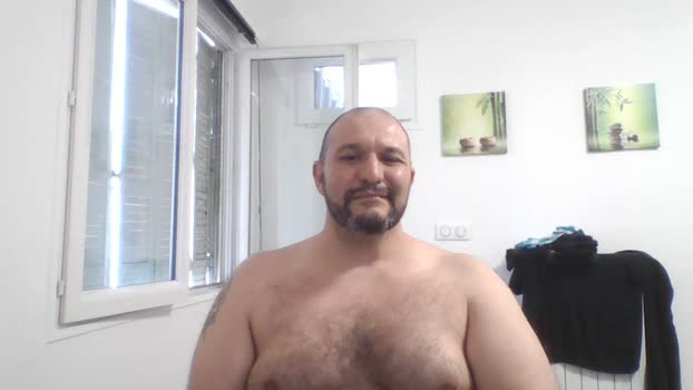 DaddyBearLive