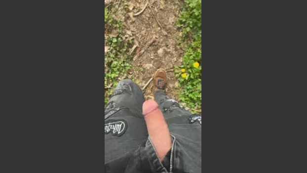 liegeois lovense Webcam SHOW @ Cam4 10-04-2026
