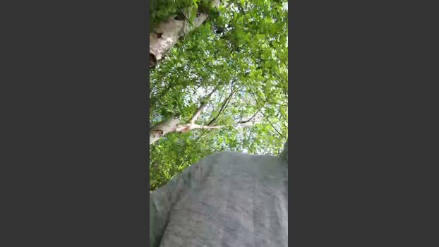 Socke72 kinky Webcam SHOW @ Cam4 11-04-2026