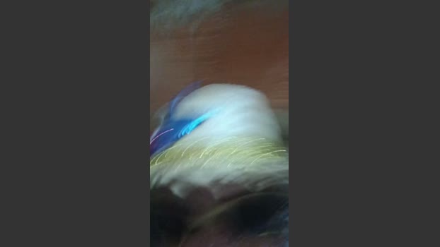 Dotpretin yummy Webcam SHOW @ Cam4 11-04-2026