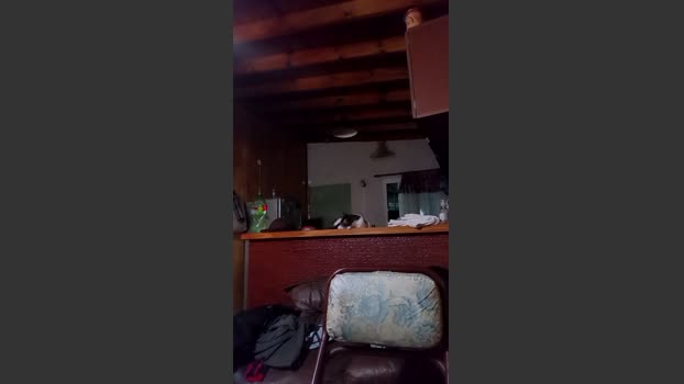Mirandalabonia deepthroat Webcam SHOW @ Cam4 13-04-2026