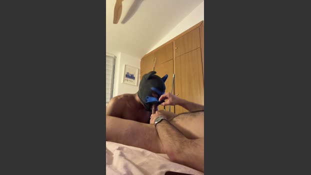 rafabr91 bicurious Webcam SHOW @ Cam4 12-04-2026