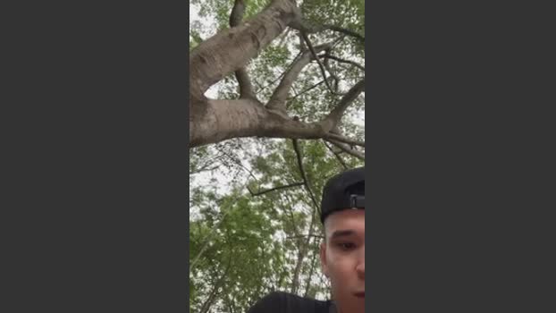 Outdoorsd lush Webcam SHOW @ Cam4 14-04-2026