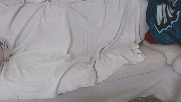 StudlyHardwood sexybody Webcam SHOW @ Cam4 14-04-2026