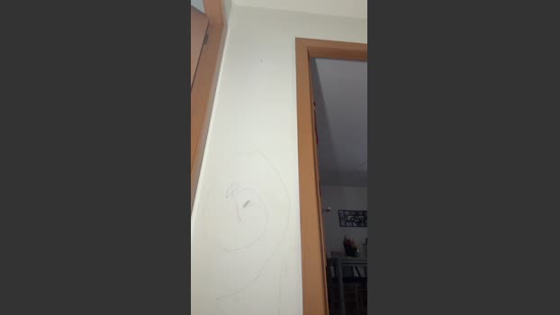 bizarro19 bigass Webcam SHOW @ Cam4 15-04-2026